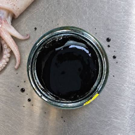 Squid Ink