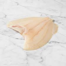 Turbot Fillet