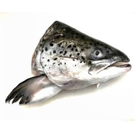 Salmon Heads