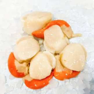 Scallops