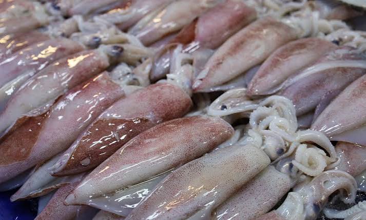 Whole Squid