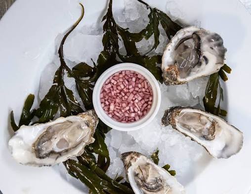 Oysters